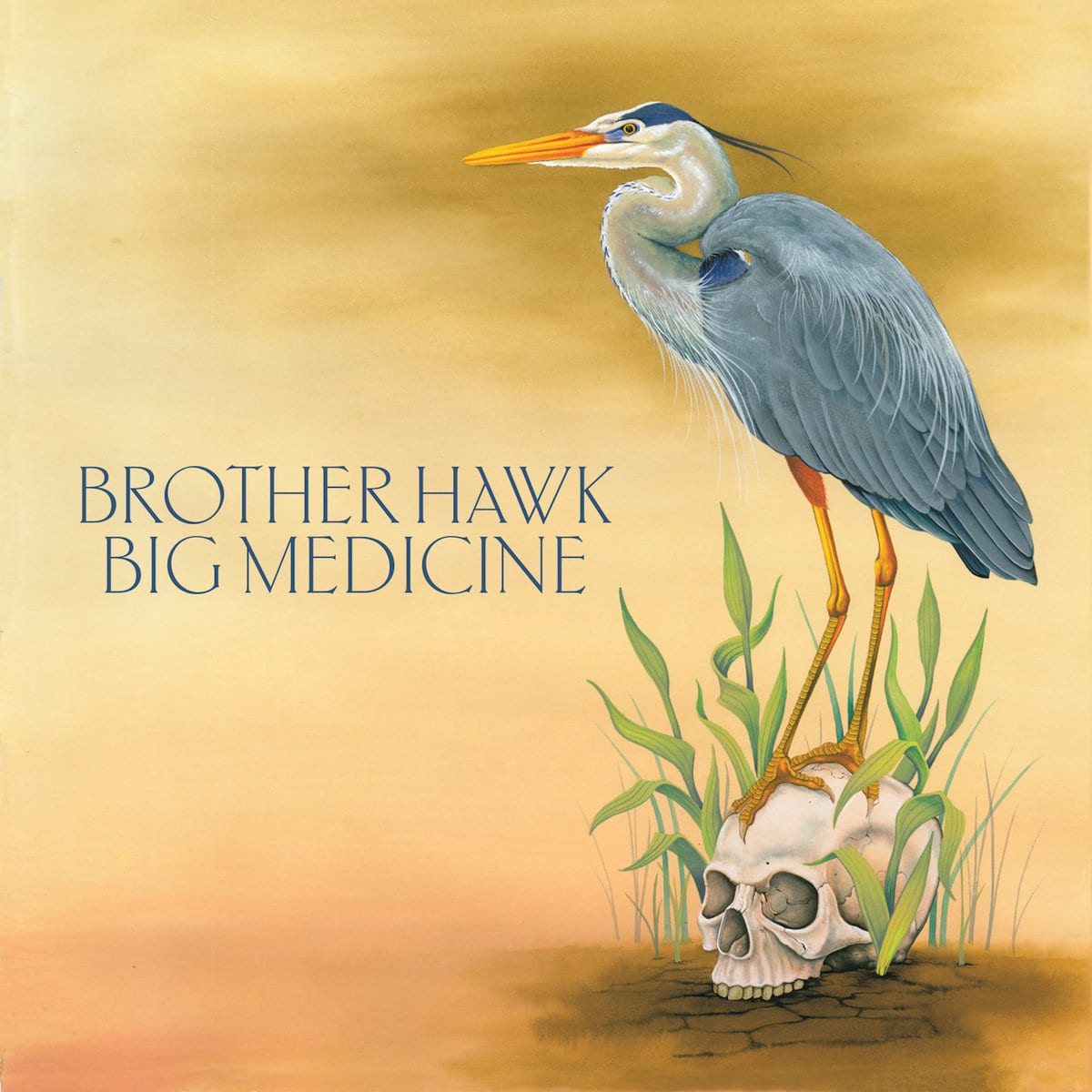 BROTHER HAWK – Big medicine