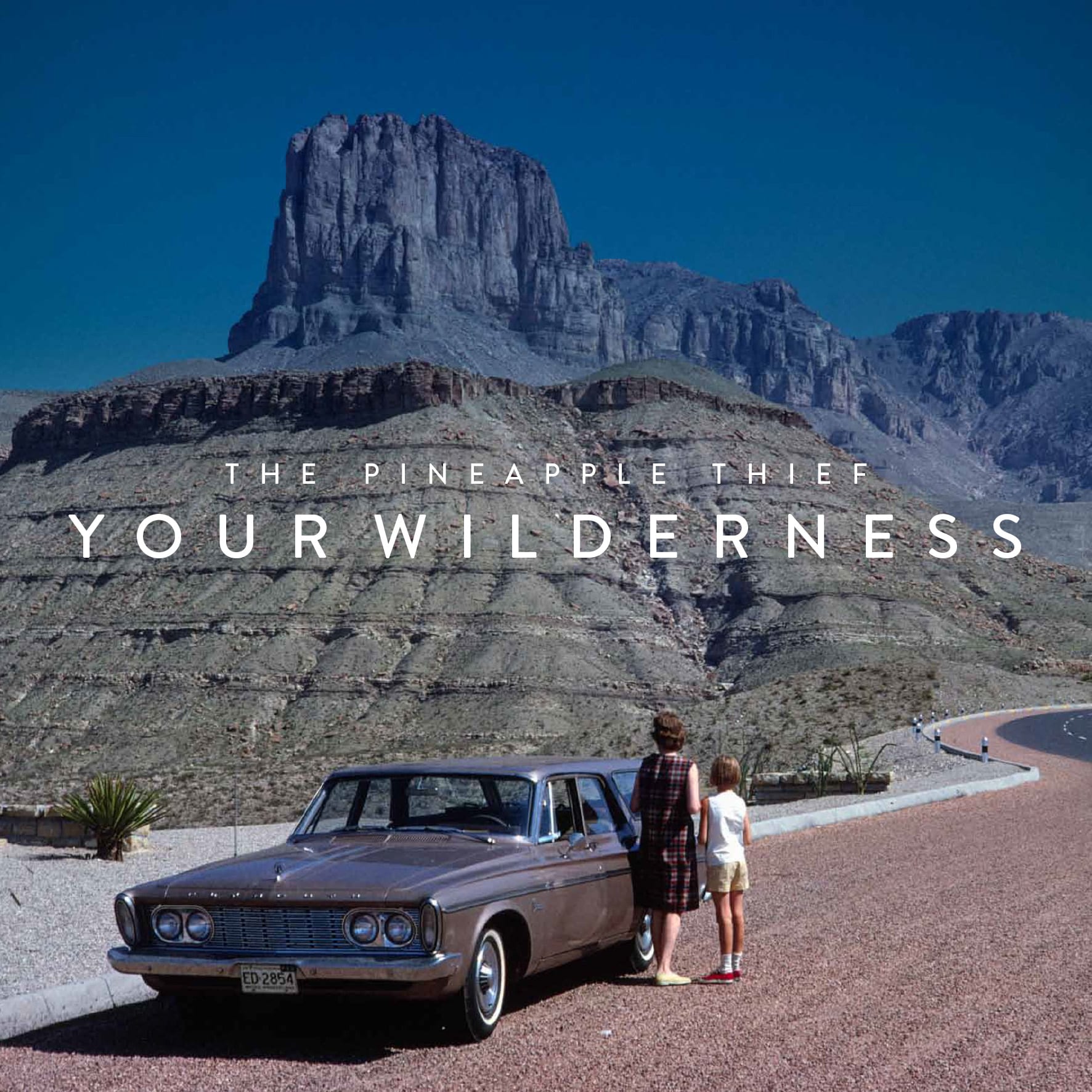 THE PINEAPPLE THIEF • Your Wilderness (Kscope, 2016)
