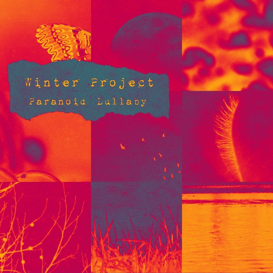 Winter Project – Paranoid Lullaby