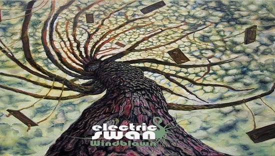 ELECTRIC SWAN – Windblown