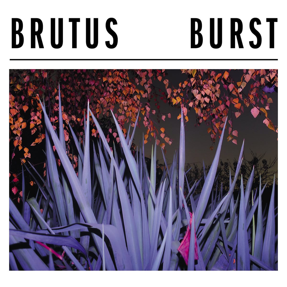 BRUTUS – Burst