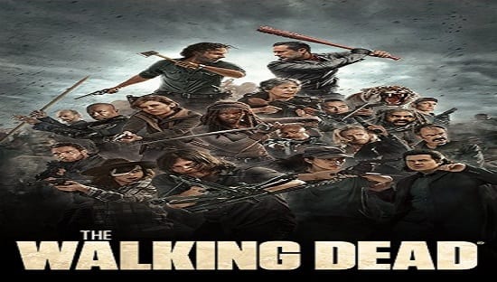 SERIES: THE WALKING DEAD (SEASON 8)
