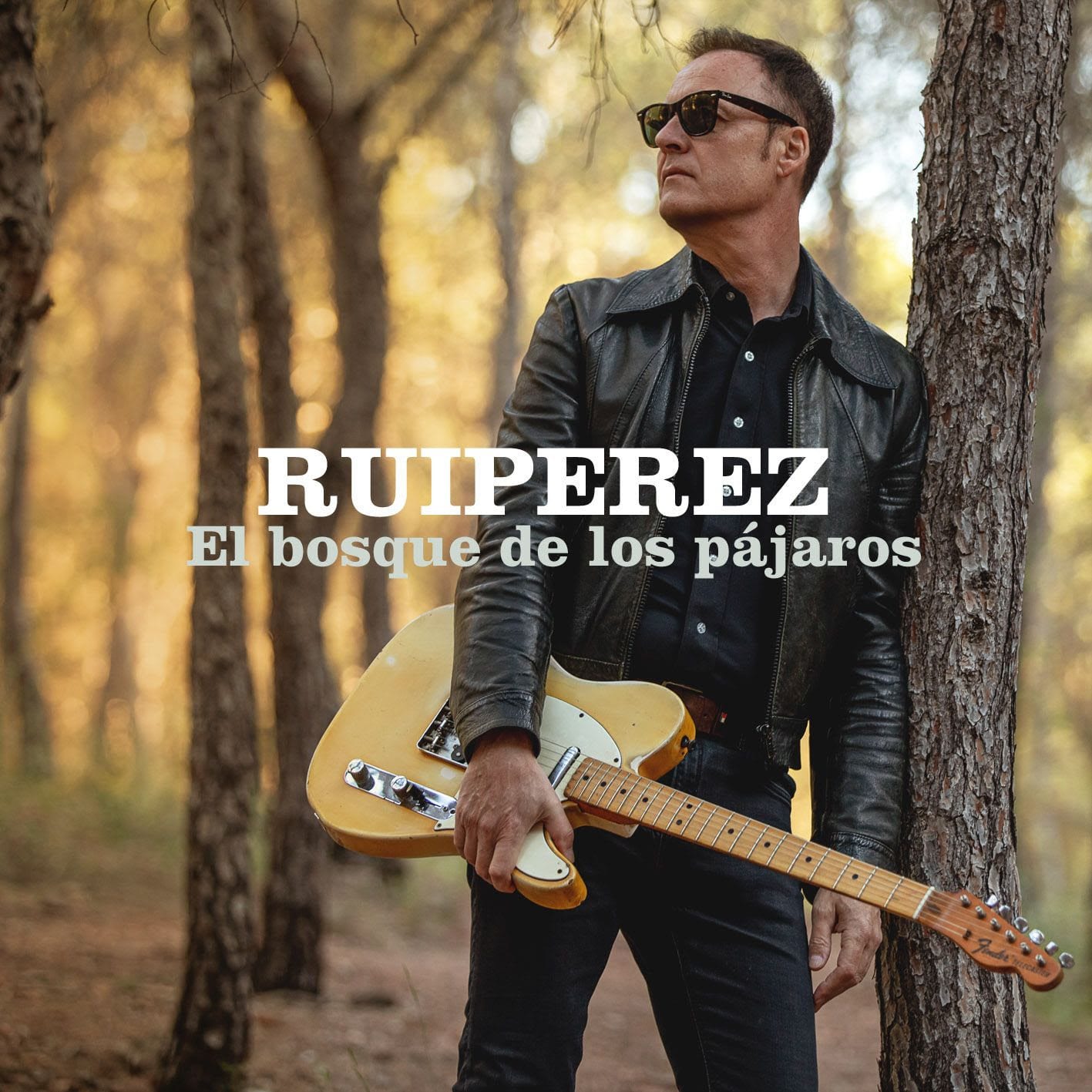 Adelanto del primer álbum en solitario de Ricardo Ruipérez