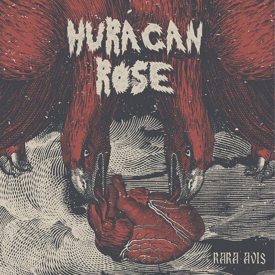 HURACAN ROSE – Rara Avis