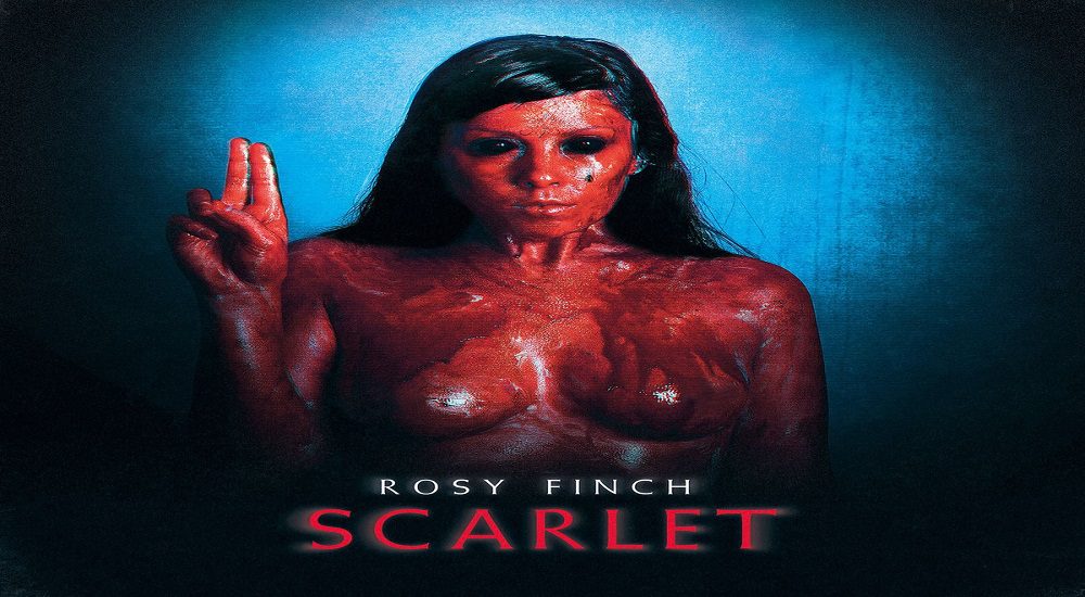 Rosy Finch – Scarlet