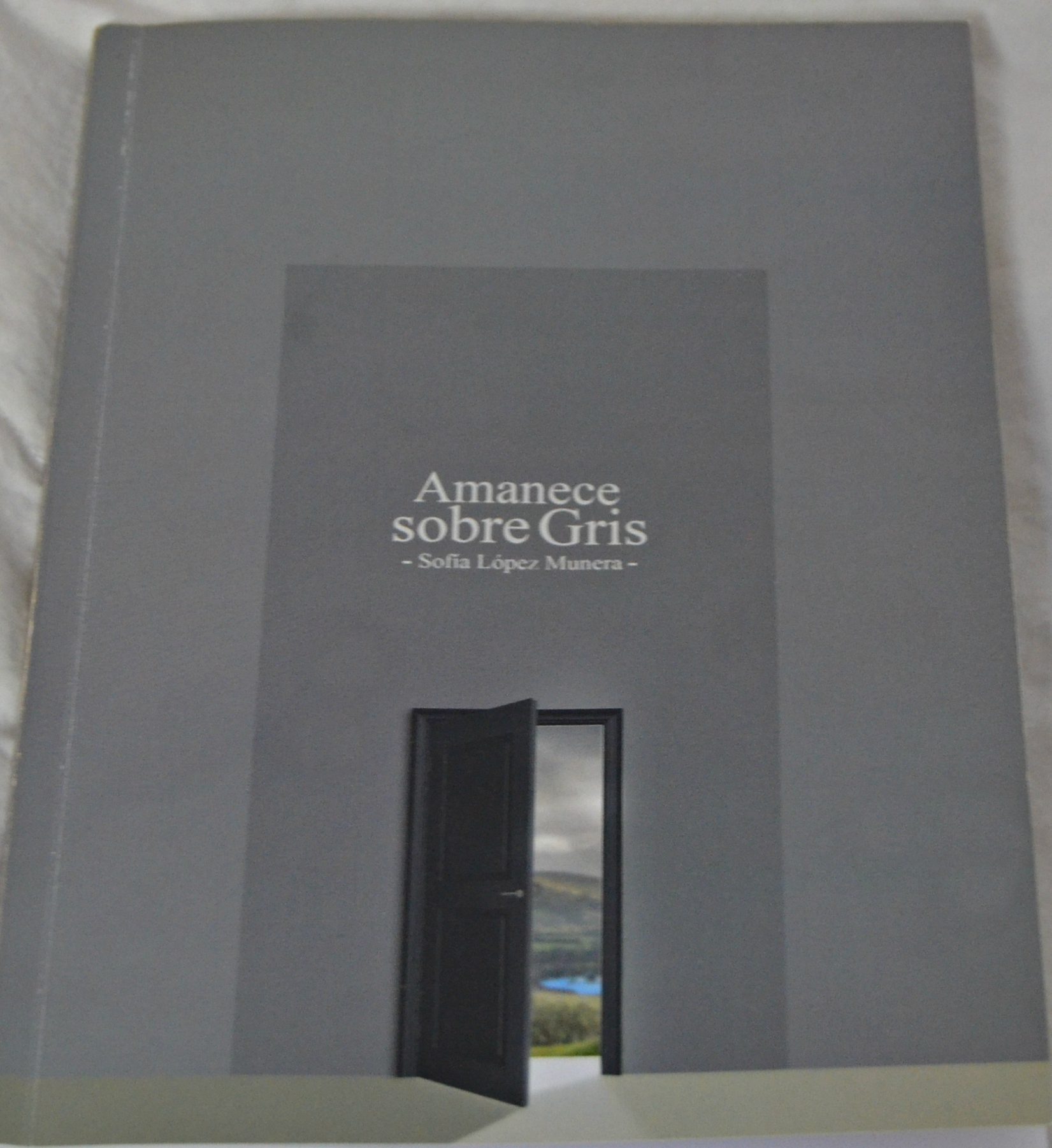 A AMANECE SOBRE GRIS – Sofía Lopez Munera (aka Desidia a Deshora)