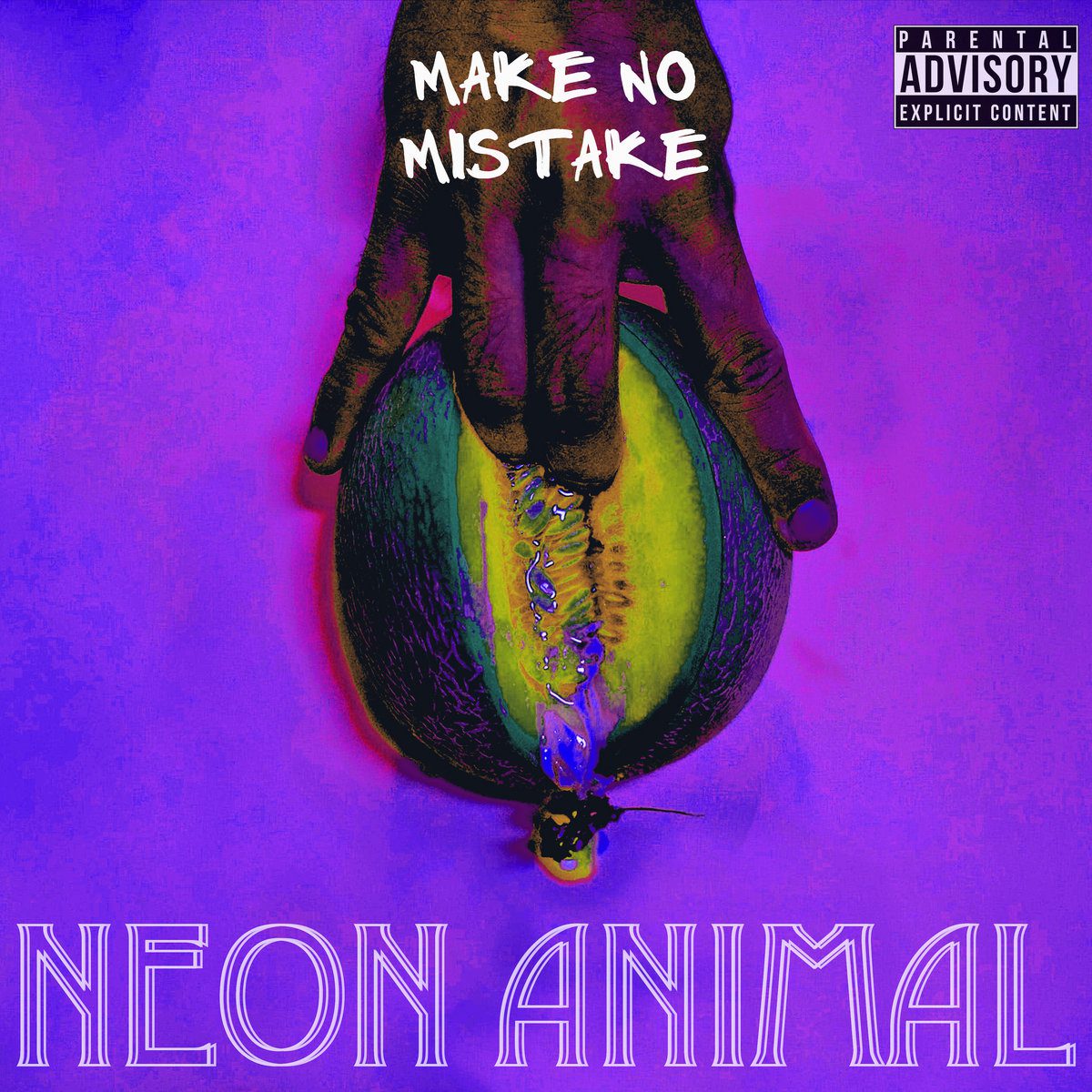 Neon Animal – Make no Mistake (2020)