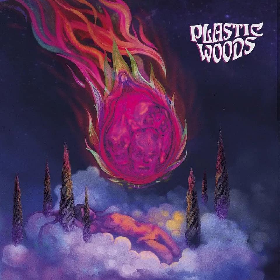 PLASTIC WOODS lanzan el single «DRAGONFRUIT»