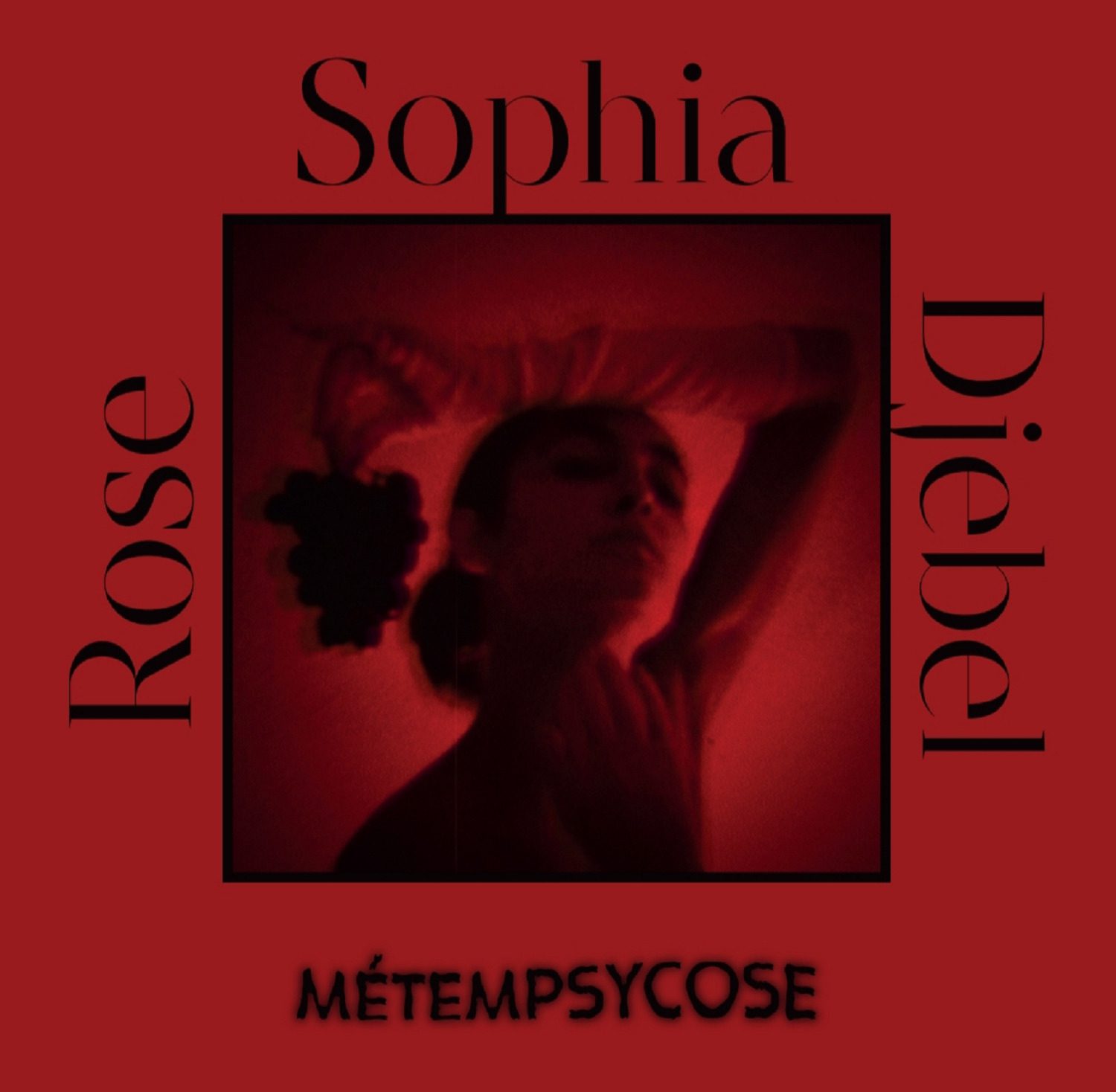 Sophia Djebel Rose – Métempsycose