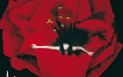 Canciones Traducidas: Perfect – The Smashing Pumpkins