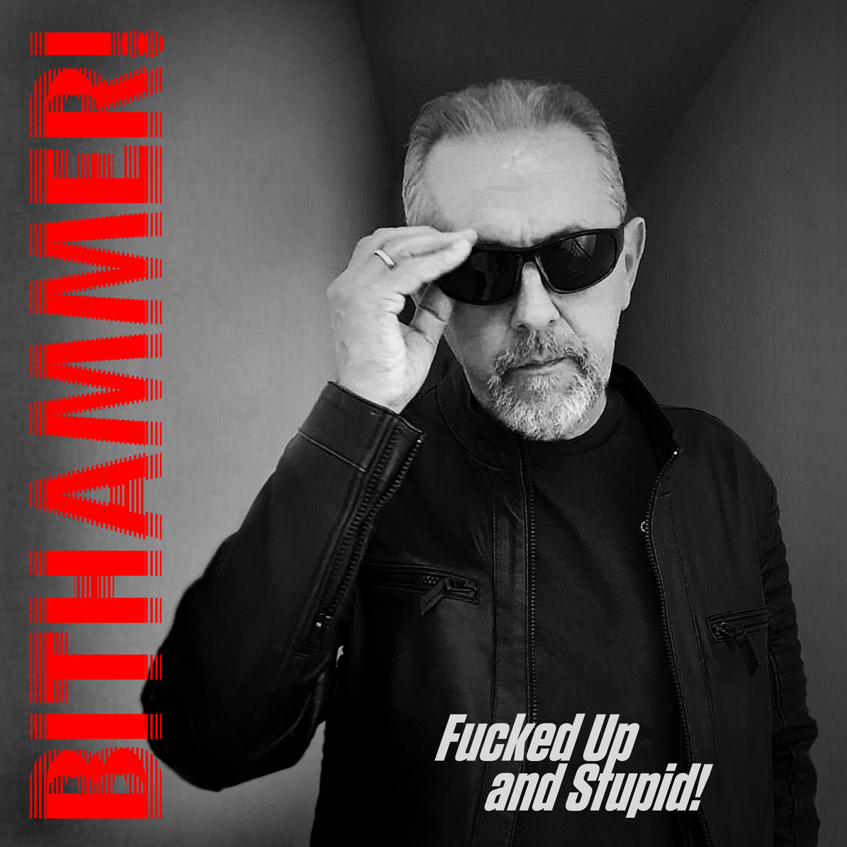 Bithammer!, el proyecto solista de Arne Thelin, tiene nuevo single con “Fucked Up And Stupid”