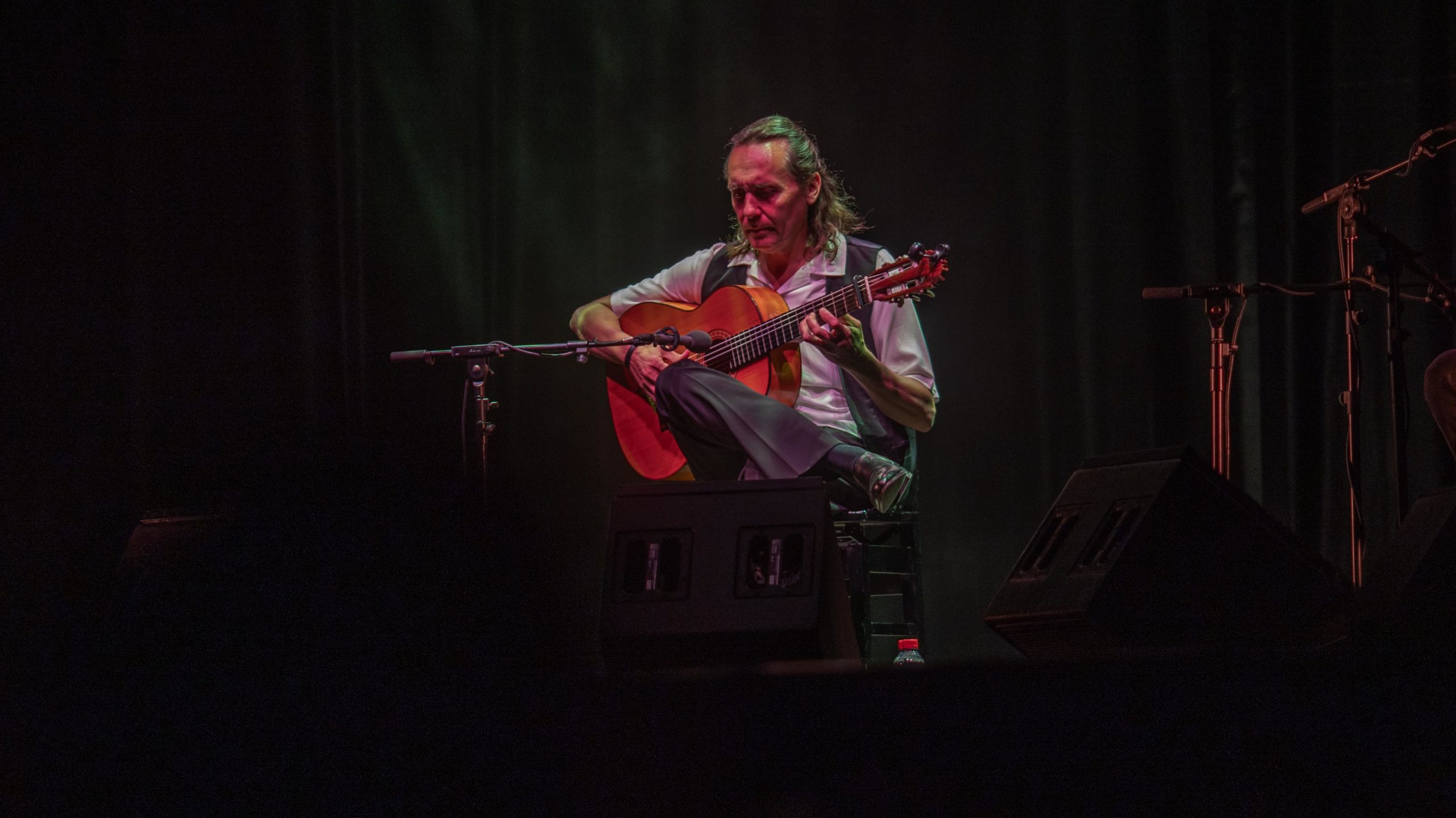 Vicente Amigo en el Tío Pepe Festival (Jerez de la Frontera – Cádiz – 03/08/23)