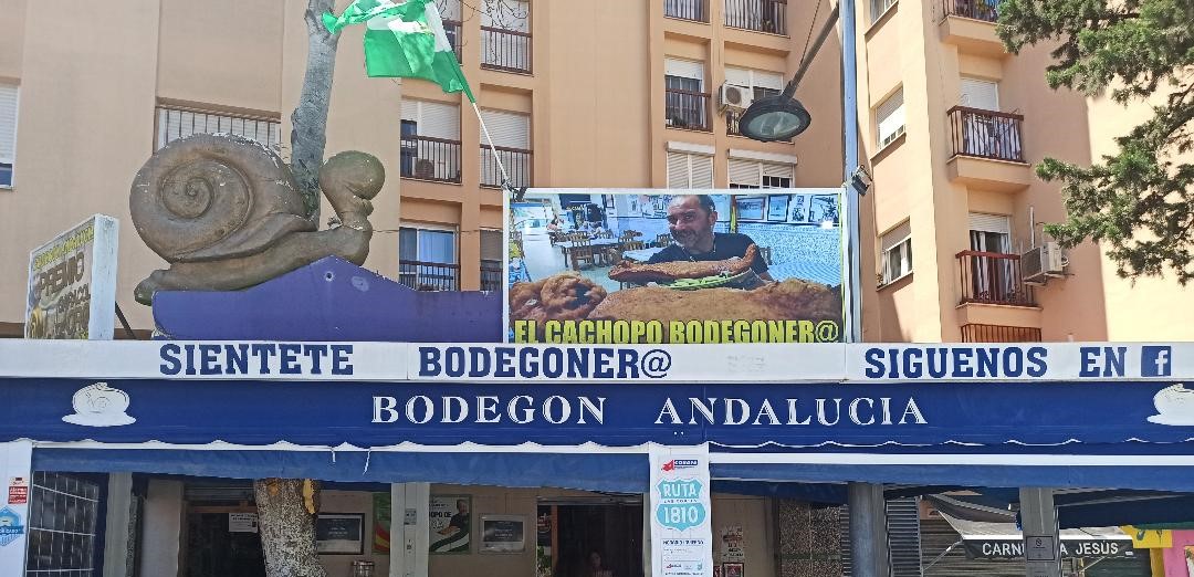 Bodegón Andalucía. San Fernando (Cádiz)