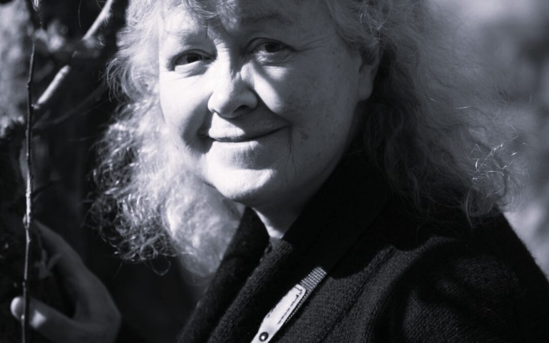 Poemas Traducidos: Punk con cítara – Anne Crowe