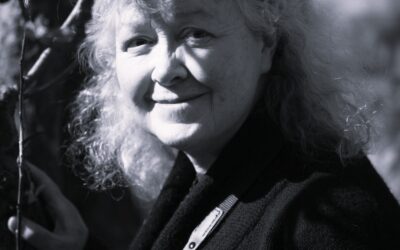 Poemas Traducidos: Punk con cítara – Anne Crowe