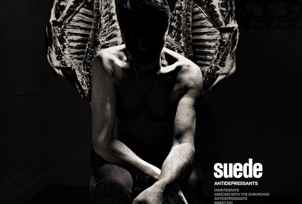 Canciones Traducidas: Disintegrate – Suede