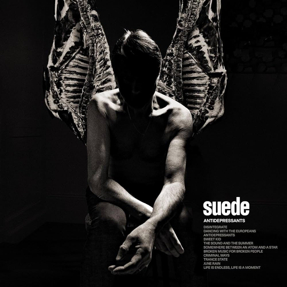 suede cover