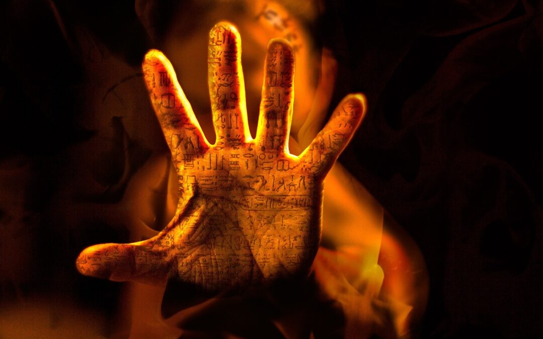 Por qué traduzco literatura