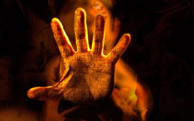 Por qué traduzco literatura