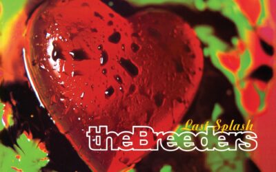 Canciones Traducidas: Invisible Man – The Breeders