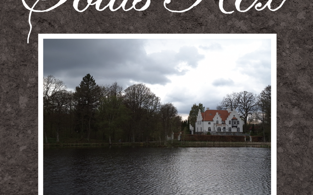 Solus Rex – Scenes From Yonder Life