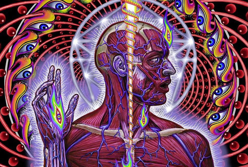 Canciones Traducidas: Parabola – Tool