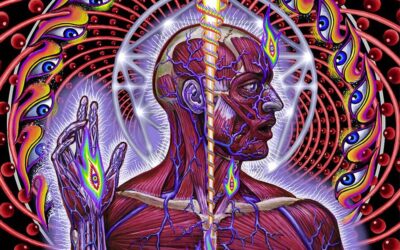 Canciones Traducidas: Ticks & Leeches – Tool