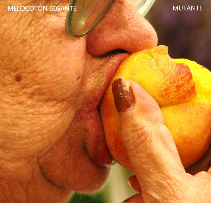 Melocotón Gigante – Mutante (2024)