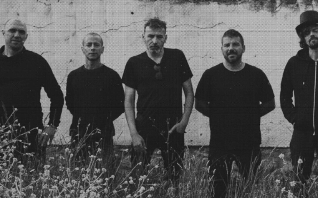 Nuevo disco de DSEED