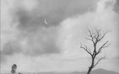 Canciones Traducidas – Animation – Karnivool