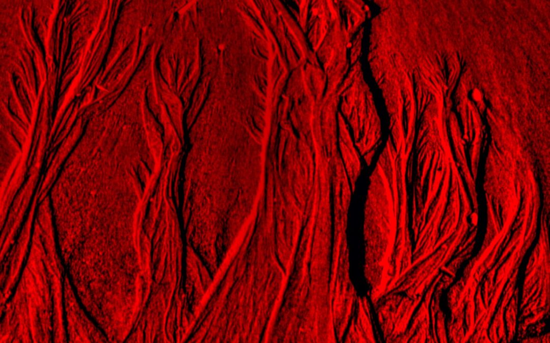 La banda portuguesa On The Loose lanza su nuevo vídeo «Soulless Destruction» (de «Path to Serenity»)