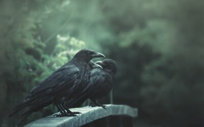 Merodeando al cuervo que nos habita