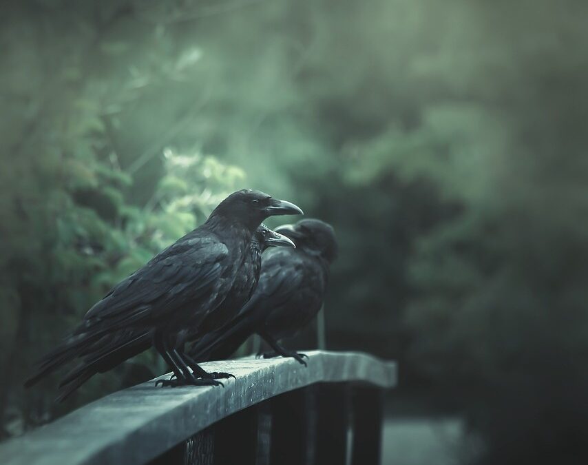 Merodeando al cuervo que nos habita