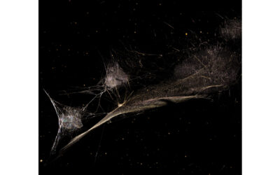 Segundo tema del O/I de Peter Gabriel: «Put the Bucket Down»