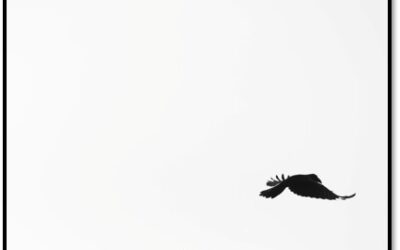 .Polar lanza «Tenue», el primer sencillo de su inminente álbum «Morir Matando»